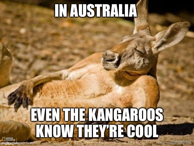 Peter Rabbit ain’t got nothing on me |  IN AUSTRALIA; EVEN THE KANGAROOS KNOW THEY’RE COOL | image tagged in chillin kangaroo | made w/ Imgflip meme maker