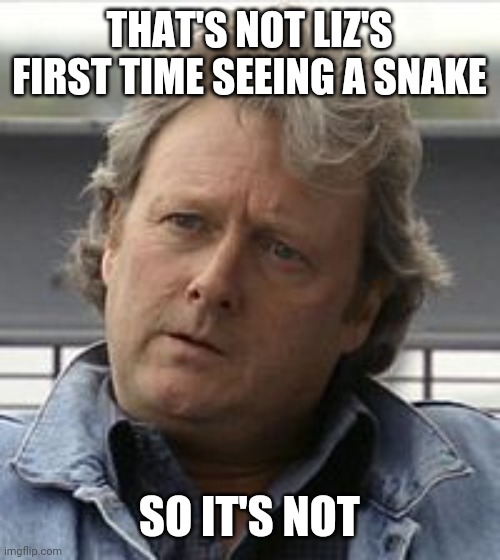 Jim McDonald | THAT'S NOT LIZ'S FIRST TIME SEEING A SNAKE; SO IT'S NOT | image tagged in jim mcdonald | made w/ Imgflip meme maker