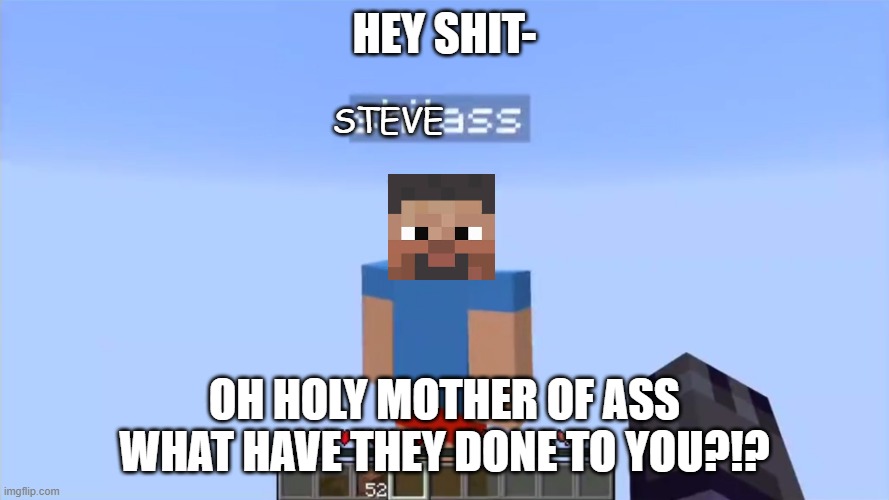 shitass | HEY SHIT-; STEVE; OH HOLY MOTHER OF ASS WHAT HAVE THEY DONE TO YOU?!? | image tagged in shitass | made w/ Imgflip meme maker