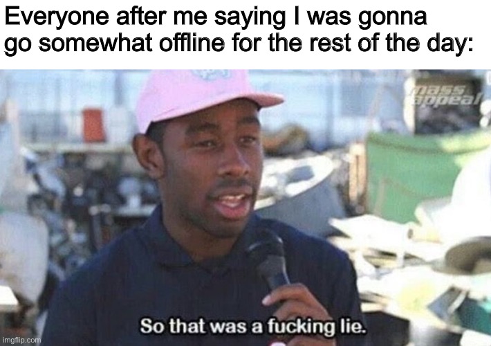 LIAR! | Everyone after me saying I was gonna go somewhat offline for the rest of the day: | image tagged in so that was a lie | made w/ Imgflip meme maker