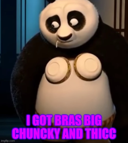 big suop bra | I GOT BRAS BIG CHUNCKY AND THICC | image tagged in funny memes | made w/ Imgflip meme maker