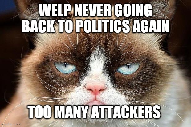 Bruh don't go into the politics chat unless you have a death wish | WELP NEVER GOING BACK TO POLITICS AGAIN; TOO MANY ATTACKERS | image tagged in memes,grumpy cat,bruh | made w/ Imgflip meme maker