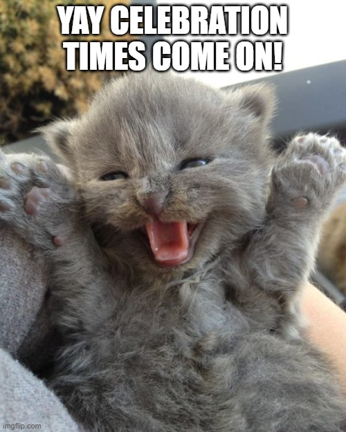 Yay Kitty | YAY CELEBRATION TIMES COME ON! | image tagged in yay kitty | made w/ Imgflip meme maker