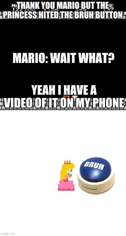 bruh | THANK YOU MARIO BUT THE PRINCESS HITED THE BRUH BUTTON; MARIO: WAIT WHAT? YEAH I HAVE A VIDEO OF IT ON MY PHONE | image tagged in thank you mario | made w/ Imgflip meme maker