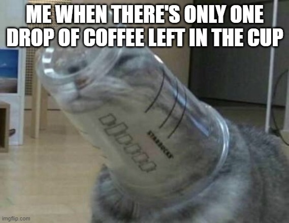 ME WHEN THERE'S ONLY ONE DROP OF COFFEE LEFT IN THE CUP | image tagged in cat | made w/ Imgflip meme maker