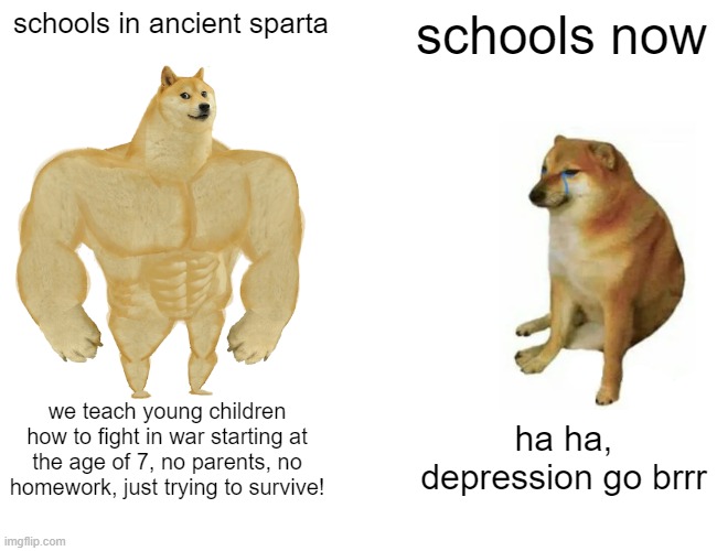 Buff Doge vs. Cheems Meme | schools in ancient sparta; schools now; we teach young children how to fight in war starting at the age of 7, no parents, no homework, just trying to survive! ha ha, depression go brrr | image tagged in memes,buff doge vs cheems,sparta,school,we're idiots,depression | made w/ Imgflip meme maker