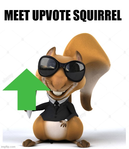 upvote Squirrel | MEET UPVOTE SQUIRREL | image tagged in upvote squirrel,kewlew | made w/ Imgflip meme maker