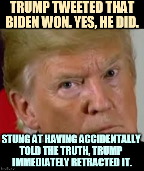 Dilated again. | TRUMP TWEETED THAT BIDEN WON. YES, HE DID. STUNG AT HAVING ACCIDENTALLY 
TOLD THE TRUTH, TRUMP 
IMMEDIATELY RETRACTED IT. | image tagged in trump eyes dilated,trump,tweet,truth,lie,confused | made w/ Imgflip meme maker