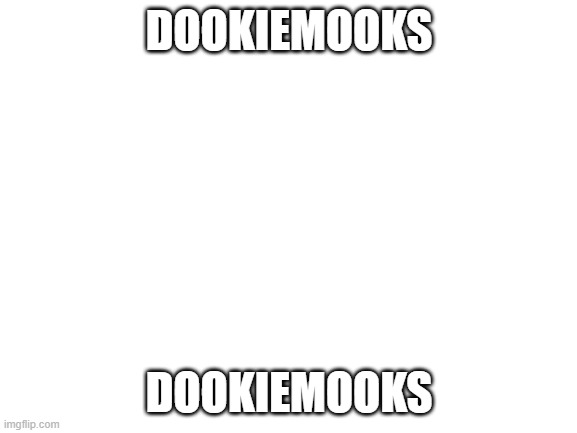 hehe | DOOKIEMOOKS; DOOKIEMOOKS | image tagged in blank white template | made w/ Imgflip meme maker