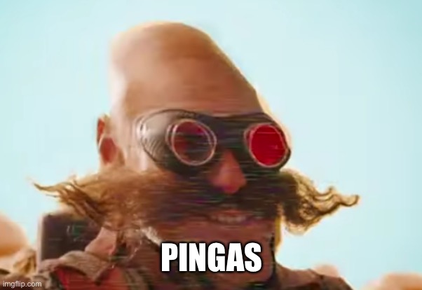 Pingas 2019 | PINGAS | image tagged in pingas 2019 | made w/ Imgflip meme maker