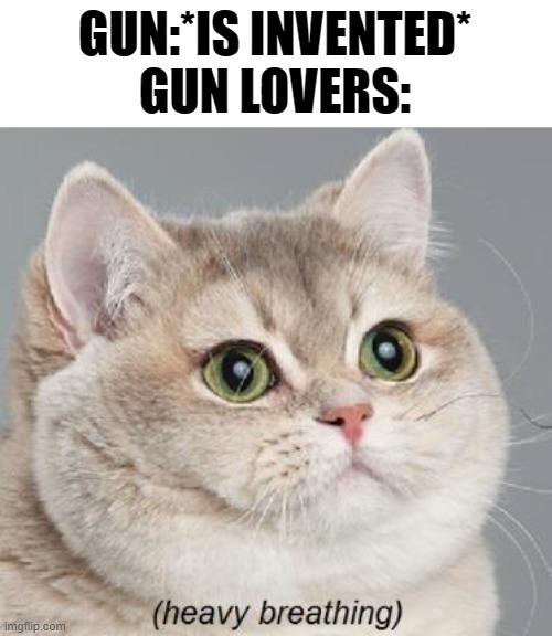 [SECOND AMENDMENT INTENSIFIES] | GUN:*IS INVENTED*
GUN LOVERS: | image tagged in memes,heavy breathing cat | made w/ Imgflip meme maker