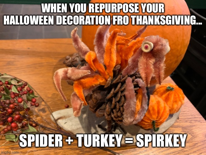 Spirkey | WHEN YOU REPURPOSE YOUR HALLOWEEN DECORATION FRO THANKSGIVING... SPIDER + TURKEY = SPIRKEY | image tagged in halloween,thanksgiving,spider,turkey | made w/ Imgflip meme maker