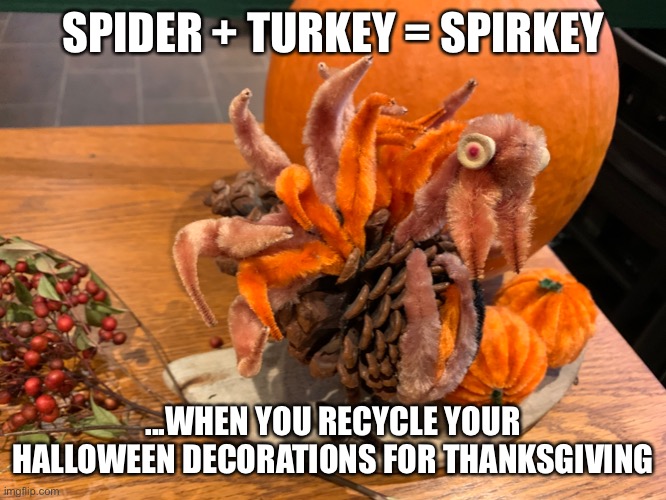 Spirkey | SPIDER + TURKEY = SPIRKEY; ...WHEN YOU RECYCLE YOUR HALLOWEEN DECORATIONS FOR THANKSGIVING | image tagged in halloween,thanksgiving,spider,turkey | made w/ Imgflip meme maker