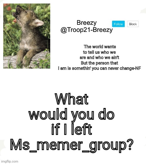 Trooper21-Breezy template | What would you do if I left Ms_memer_group? | image tagged in trooper21-breezy template | made w/ Imgflip meme maker