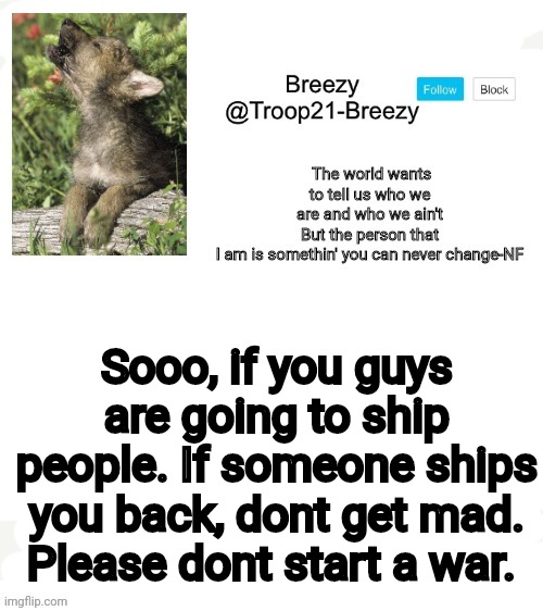 Trooper21-Breezy template | Sooo, if you guys are going to ship people. If someone ships you back, dont get mad. Please dont start a war. | image tagged in trooper21-breezy template | made w/ Imgflip meme maker