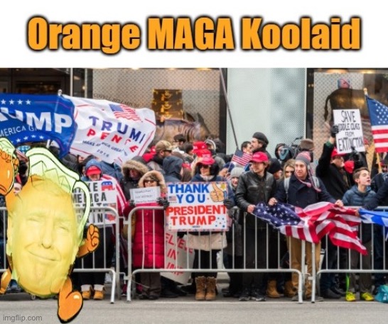 Trump Orange Koolaid MAGA Supporter | image tagged in trump orange koolaid maga supporter | made w/ Imgflip meme maker