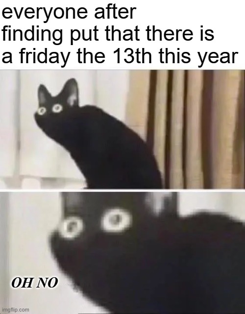 may god help our souls... | everyone after finding put that there is a friday the 13th this year; OH NO | image tagged in oh no black cat,friday 13th,2020,god help us,friday 13th 2020 | made w/ Imgflip meme maker