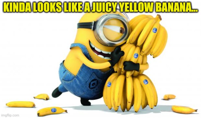 Minion Bananas | KINDA LOOKS LIKE A JUICY YELLOW BANANA... | image tagged in minion bananas | made w/ Imgflip meme maker
