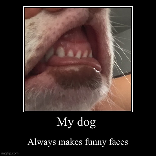 Doggy | image tagged in funny,demotivationals | made w/ Imgflip demotivational maker