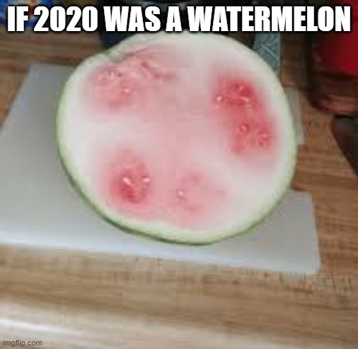 IF 2020 WAS A WATERMELON | image tagged in memes,funny memes,dank memes,meme,good memes,so true memes | made w/ Imgflip meme maker