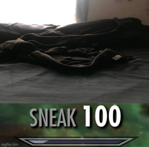Sneaky Cat | image tagged in sneak 100 | made w/ Imgflip meme maker