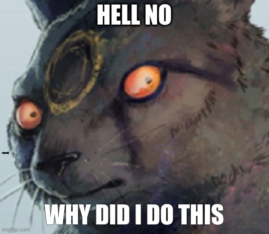 image des... (Fuçking hell why did I do this) | HELL NO; https://strawpoll.com/jfq4de4qr; WHY DID I DO THIS | made w/ Imgflip meme maker