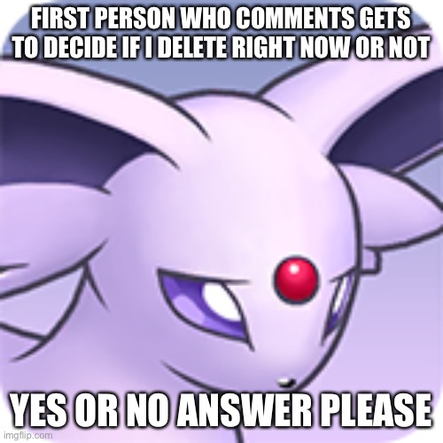 FIRST PERSON WHO COMMENTS GETS TO DECIDE IF I DELETE RIGHT NOW OR NOT; YES OR NO ANSWER PLEASE | made w/ Imgflip meme maker