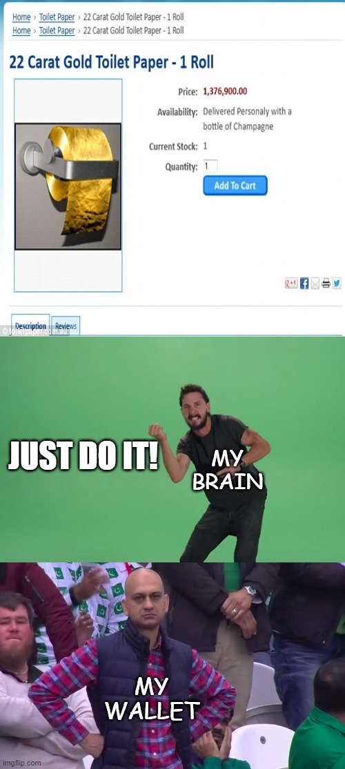 JUST DO IT!!! | JUST DO IT! MY BRAIN; MY WALLET | image tagged in memes,inhaling seagull | made w/ Imgflip meme maker