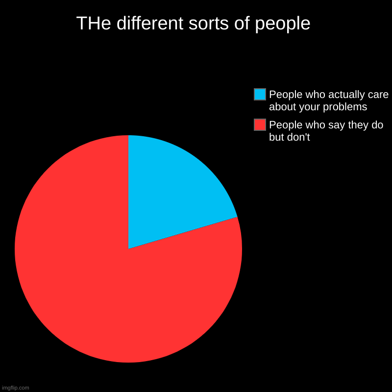 Different Sorts of People | THe different sorts of people | People who say they do but don't, People who actually care about your problems | image tagged in charts,pie charts | made w/ Imgflip chart maker