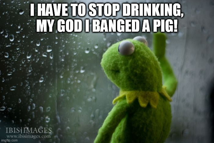 kermit window | I HAVE TO STOP DRINKING, MY GOD I BANGED A PIG! | image tagged in kermit window | made w/ Imgflip meme maker