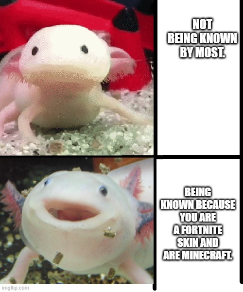 Axolotl | NOT BEING KNOWN BY MOST. BEING KNOWN BECAUSE YOU ARE A FORTNITE SKIN AND ARE MINECRAFT. | image tagged in axolotl | made w/ Imgflip meme maker