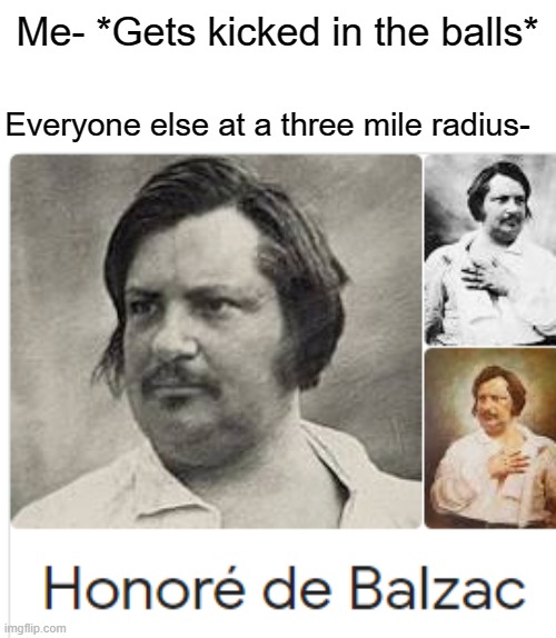 Honor it! | Me- *Gets kicked in the balls*; Everyone else at a three mile radius- | image tagged in balls,funny,memes,google,names | made w/ Imgflip meme maker