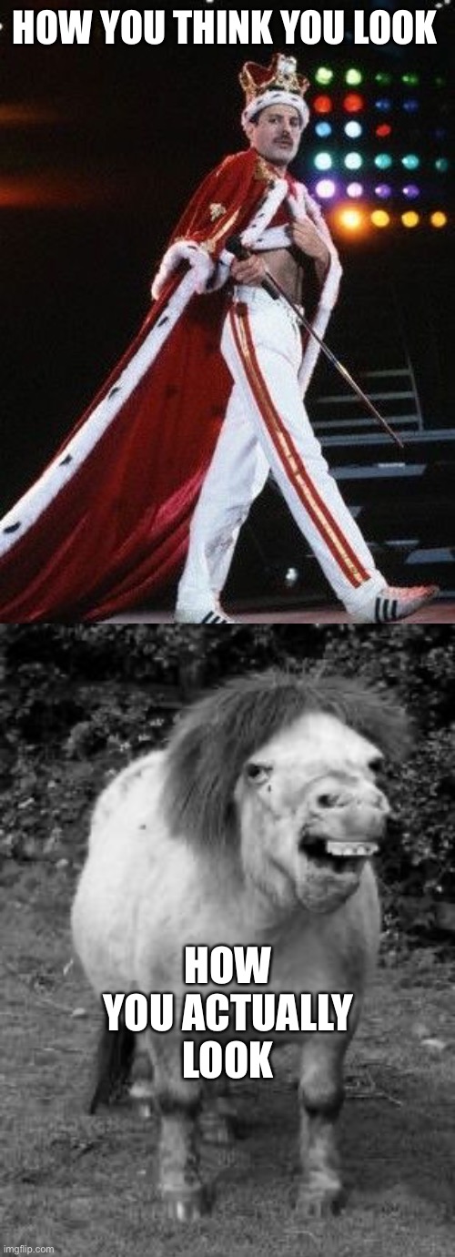 HOW YOU THINK YOU LOOK; HOW YOU ACTUALLY LOOK | image tagged in freddie mercury king | made w/ Imgflip meme maker