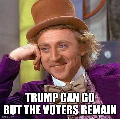 Creepy Condescending Wonka Meme | TRUMP CAN GO
BUT THE VOTERS REMAIN | image tagged in memes,creepy condescending wonka | made w/ Imgflip meme maker