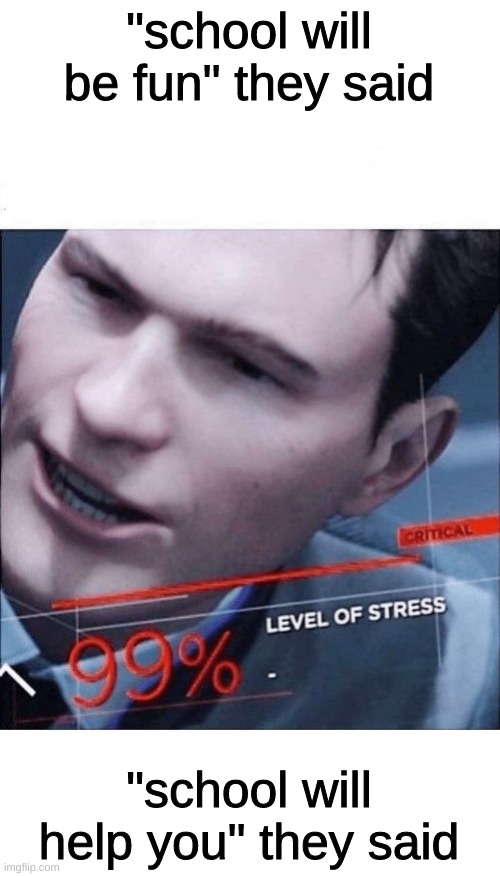 they said | "school will be fun" they said; "school will help you" they said | image tagged in 99 level of stress,they said | made w/ Imgflip meme maker