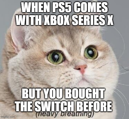 ps5 or xbox x | WHEN PS5 COMES WITH XBOX SERIES X; BUT YOU BOUGHT THE SWITCH BEFORE | image tagged in memes,heavy breathing cat | made w/ Imgflip meme maker