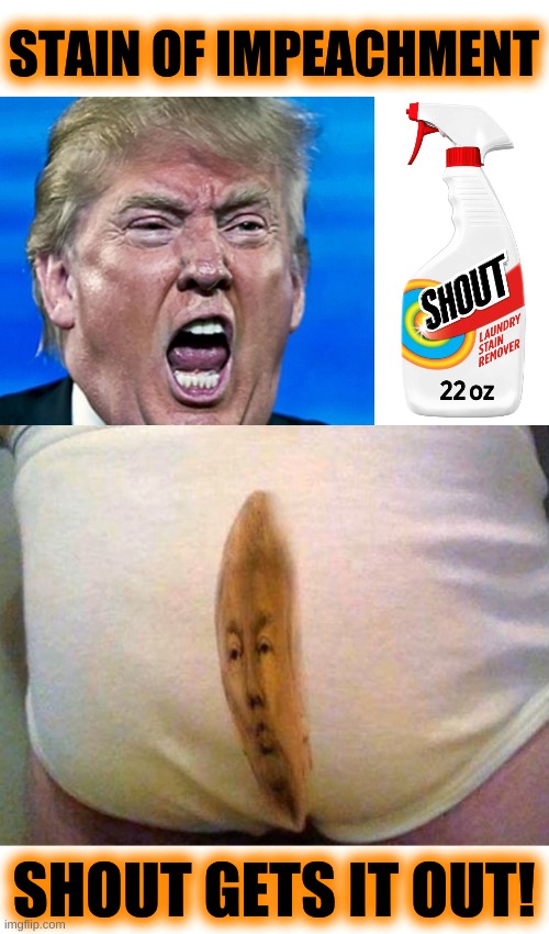 STAIN OF IMPEACHMENT; SHOUT GETS IT OUT! | image tagged in trump yelling,shout,laundry,stain,trump impeachment,underwear | made w/ Imgflip meme maker