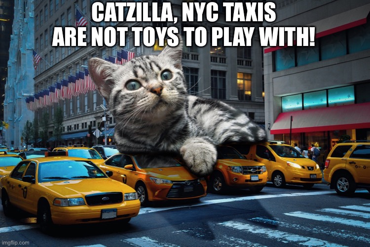 Catzilla and his favorite toy? | CATZILLA, NYC TAXIS ARE NOT TOYS TO PLAY WITH! | image tagged in catzilla,funny memes,nyc,taxi driver,memes,bad kitty | made w/ Imgflip meme maker