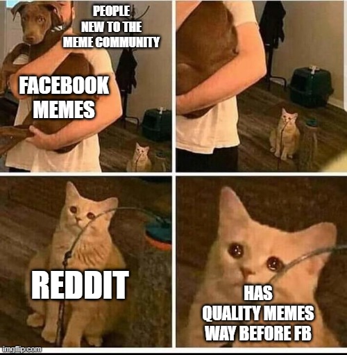 idk | PEOPLE NEW TO THE MEME COMMUNITY; FACEBOOK MEMES; REDDIT; HAS QUALITY MEMES WAY BEFORE FB | image tagged in memes,meme | made w/ Imgflip meme maker