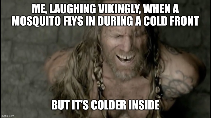 Laughing Viking | ME, LAUGHING VIKINGLY, WHEN A MOSQUITO FLYS IN DURING A COLD FRONT; BUT IT’S COLDER INSIDE | image tagged in laughing viking | made w/ Imgflip meme maker