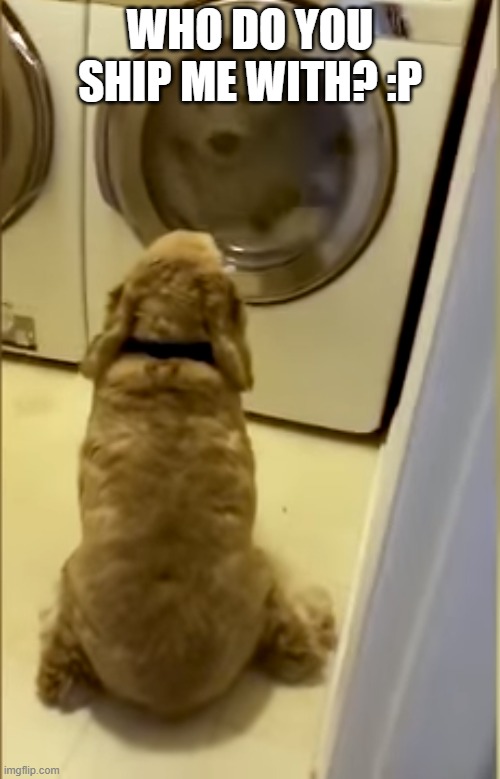 (read the tag)  :1 | WHO DO YOU SHIP ME WITH? :P | image tagged in i have a bad feelings about this | made w/ Imgflip meme maker