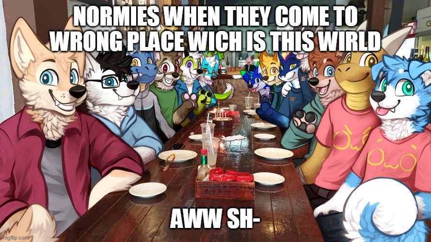 I AM NOT FURRY BUT I WANT TO SEE INE OWO | NORMIES WHEN THEY COME TO WRONG PLACE WICH IS THIS WIRLD; AWW SH- | image tagged in furries,furry | made w/ Imgflip meme maker
