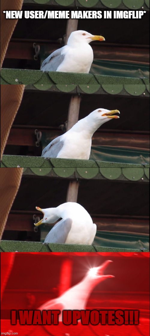 Can I have upvotes? | *NEW USER/MEME MAKERS IN IMGFLIP*; I WANT UPVOTES!!! | image tagged in memes,inhaling seagull,begging for upvotes | made w/ Imgflip meme maker