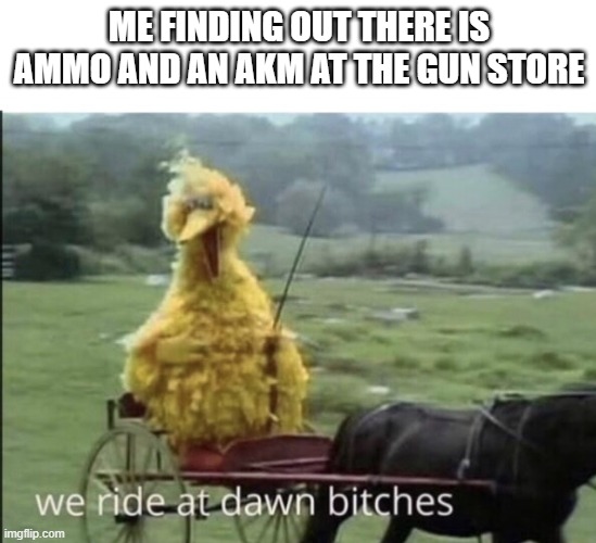 Get ready | ME FINDING OUT THERE IS AMMO AND AN AKM AT THE GUN STORE | image tagged in we ride at dawn bitches,guns | made w/ Imgflip meme maker