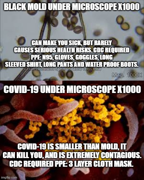 Covid-19 | BLACK MOLD UNDER MICROSCOPE X1000; CAN MAKE YOU SICK, BUT RARELY CAUSES SERIOUS HEALTH RISKS. CDC REQUIRED PPE: N95, GLOVES, GOGGLES, LONG SLEEVED SHIRT, LONG PANTS AND WATER PROOF BOOTS. COVID-19 UNDER MICROSCOPE X1000; COVID-19 IS SMALLER THAN MOLD, IT CAN KILL YOU, AND IS EXTREMELY CONTAGIOUS. CDC REQUIRED PPE: 3 LAYER CLOTH MASK. | image tagged in masks,covid,mold,ppe | made w/ Imgflip meme maker