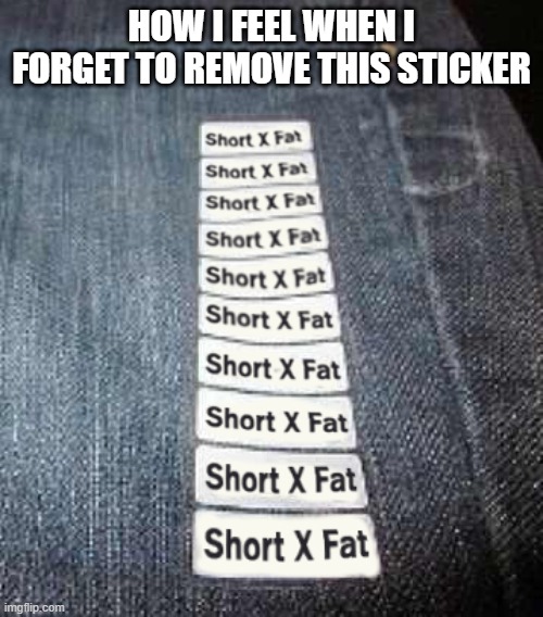 Fat Pants | HOW I FEEL WHEN I FORGET TO REMOVE THIS STICKER | image tagged in fat pants,fun | made w/ Imgflip meme maker