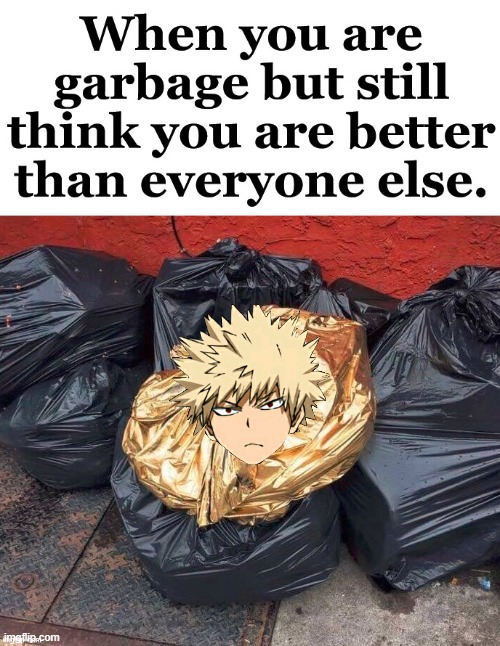 Sorry to all the Bakugou simps | made w/ Imgflip meme maker