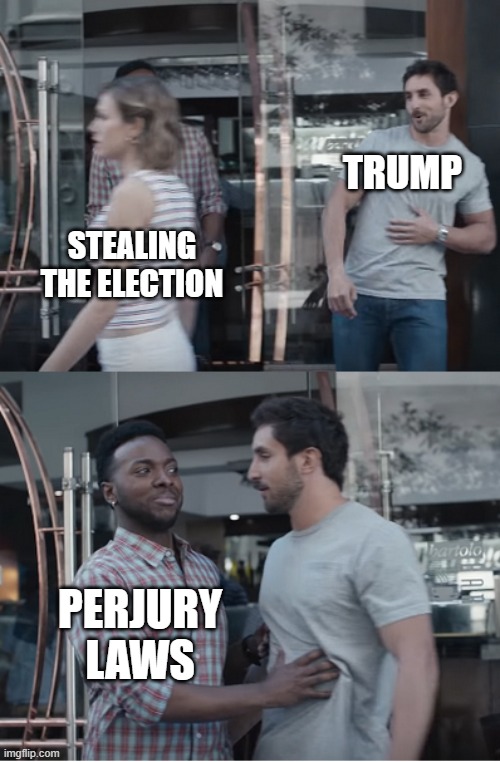 Stop right there | TRUMP STEALING THE ELECTION PERJURY LAWS | image tagged in stop right there | made w/ Imgflip meme maker