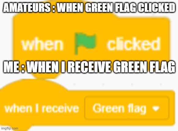 ScRaTcH | AMATEURS : WHEN GREEN FLAG CLICKED; ME : WHEN I RECEIVE GREEN FLAG | image tagged in scratch | made w/ Imgflip meme maker