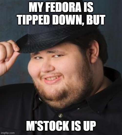 tips fedora | MY FEDORA IS TIPPED DOWN, BUT; M'STOCK IS UP | image tagged in tips fedora | made w/ Imgflip meme maker